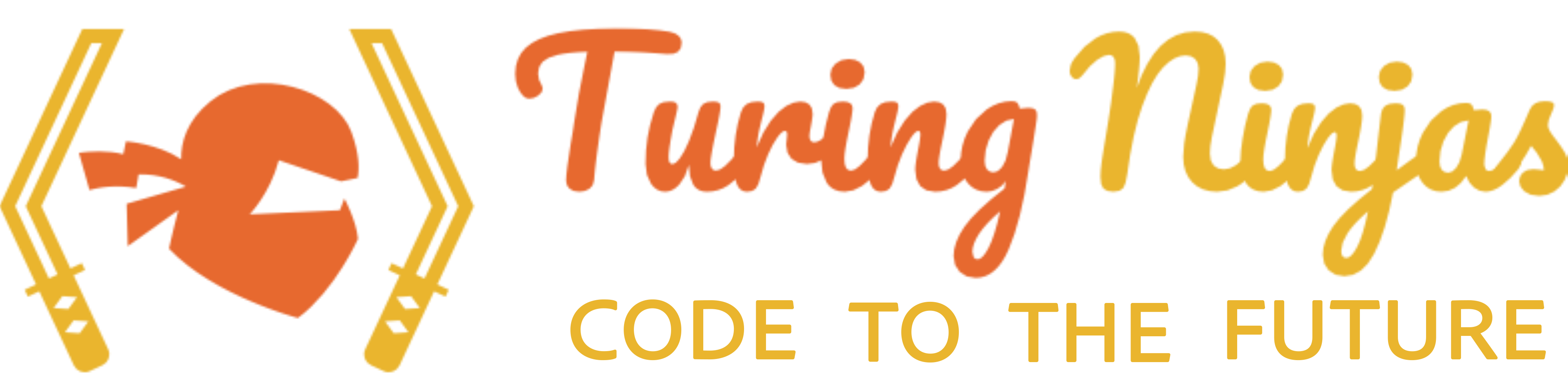 turing-ninjas-logo